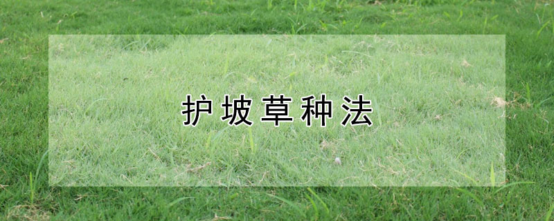 护坡草种法