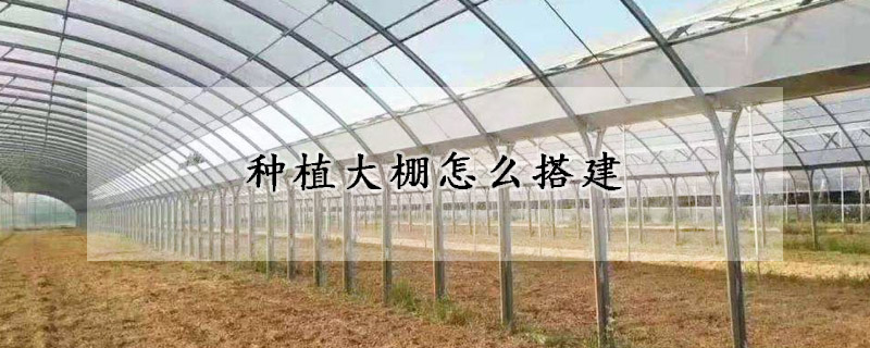 种植大棚怎么搭建