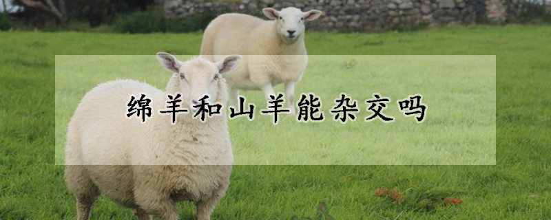 绵羊和山羊能杂交吗