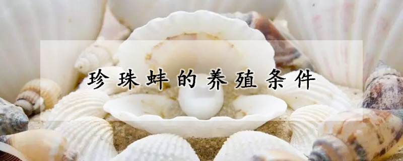 珍珠蚌的养殖条件