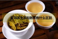 普洱的生茶和熟茶有什么区别