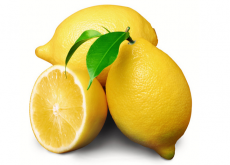 <b>柠檬的种植技术和方法</b>