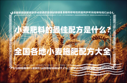 <strong>小麦肥料的最佳配方是什么？全国各地小麦施肥配方大全</strong>