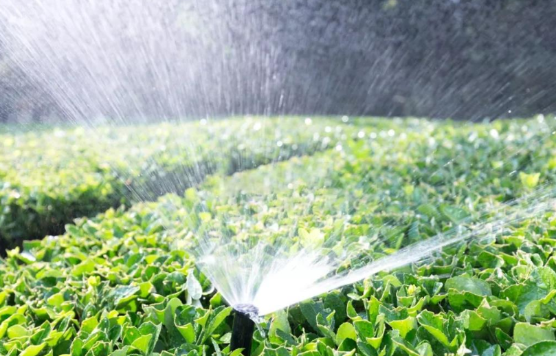 灌溉农业和绿洲农业的区别