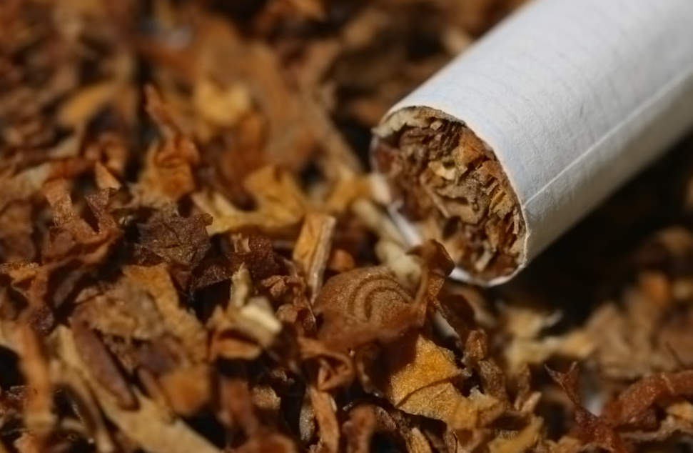 烟草属于高经济作物吗？烟草的生长环境和种植须知