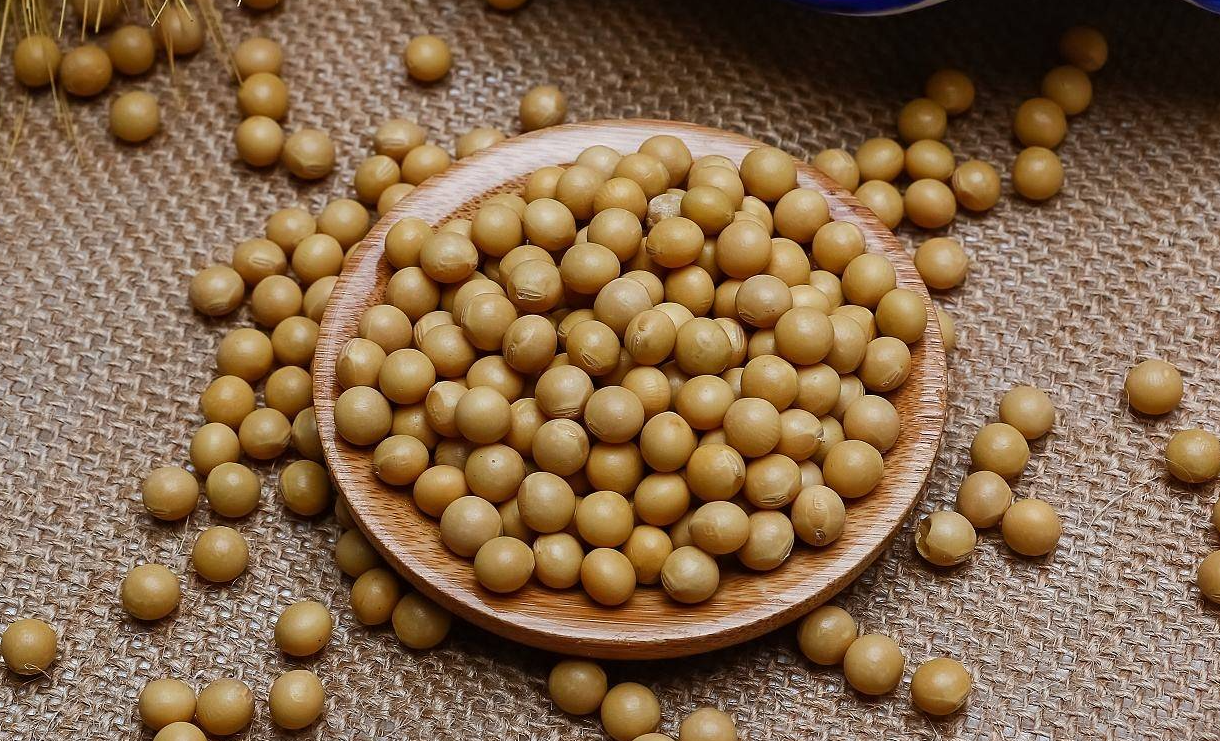 大豆成熟的收获标准有哪些？