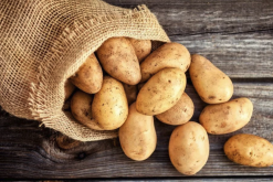 <b>土豆出芽有哪些毒素，可以用来喂鸭吗？</b>