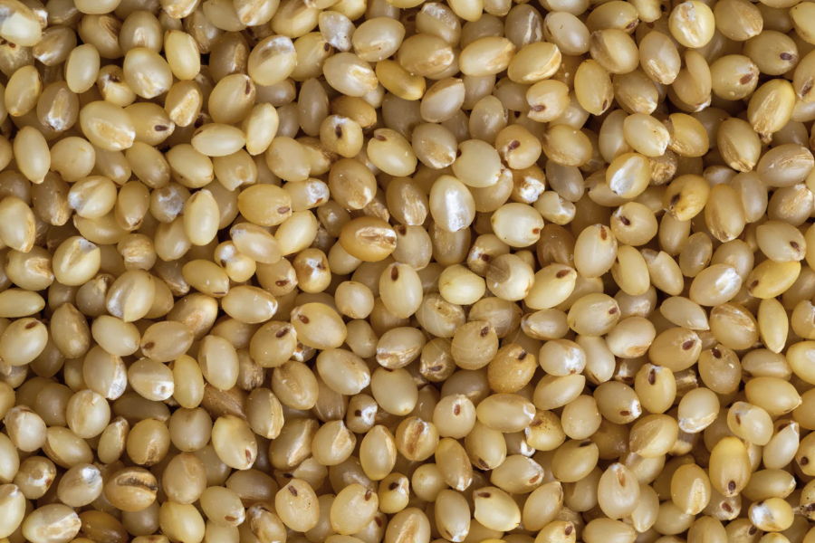 黍子磨成面粉有什么口味有什么特点？