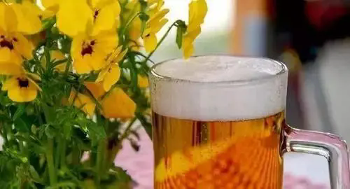 <b>啤酒是最好的养花肥料-用啤酒浇花的好处有哪些</b>