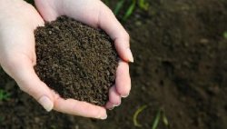农用肥料大揭秘！有机肥与磷肥能否混用？