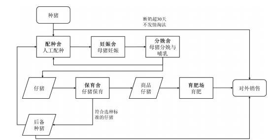 育肥猪高效饲养管理策略：优化环境、精准营养、精细管理与疾病防控