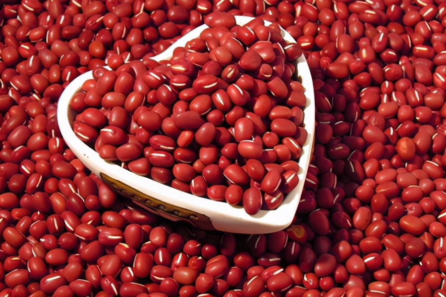 <b>红豆种植宝典：时间选对，方法用对，确保每一颗红豆的饱满与香甜！</b>