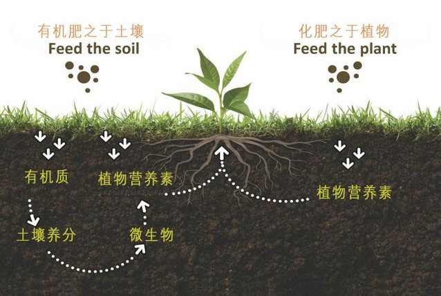 有机质肥料全解析：从动物粪便微生物到农作物秸秆，多元化补充土壤养分