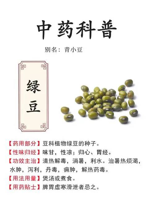 绿豆与健康-绿豆有解药的作用是真的吗？