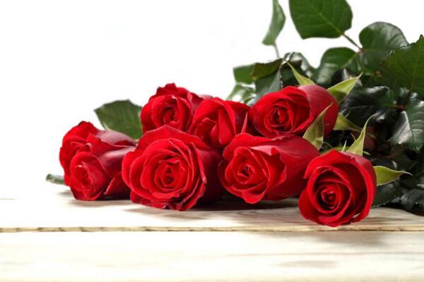 玫瑰花送几朵代表什么，求婚首选99朵玫瑰花