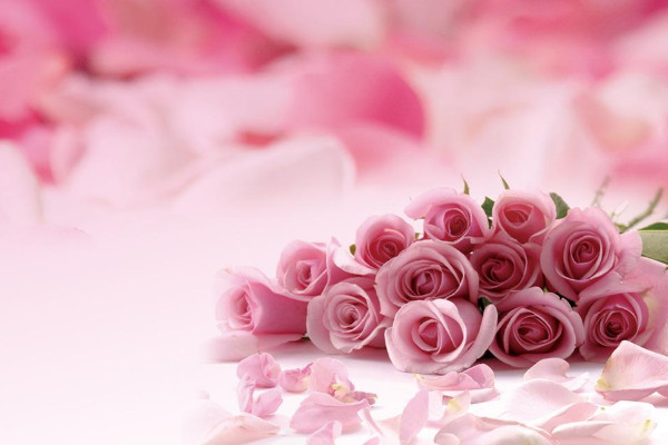 粉红玫瑰花语,爱情\/初恋\/对女性的赞美