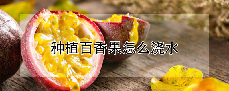 百香果和罗汉果的区别 发财农业网