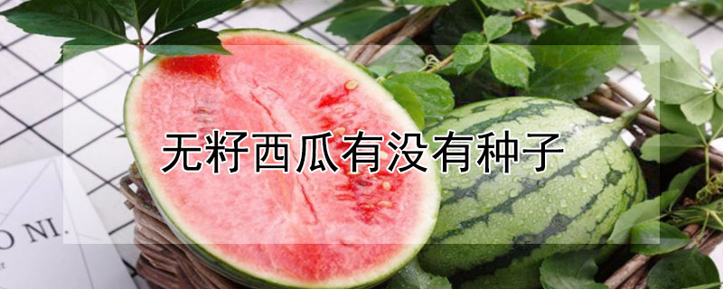 无籽西瓜有没有种子