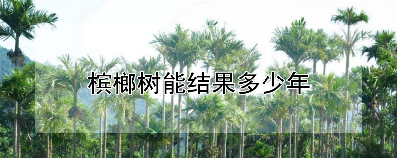 槟榔树能结果多少年