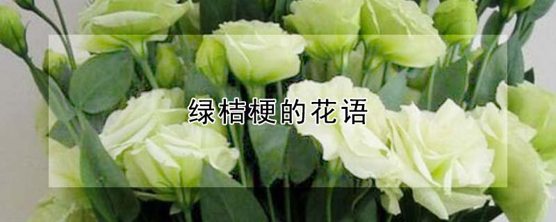 绿桔梗的花语