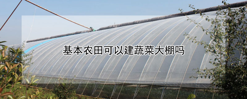 基本农田可以建蔬菜大棚吗