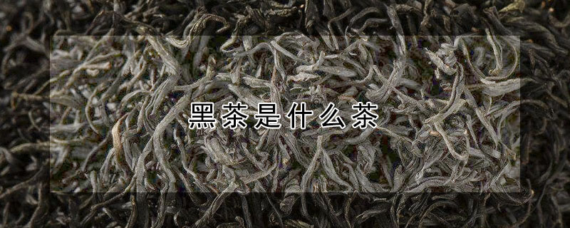 黑茶是什么茶