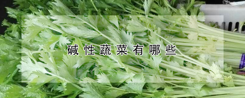 碱性蔬菜有哪些