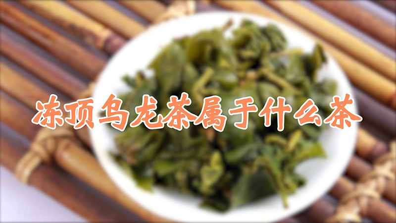 冻顶乌龙茶属于什么茶