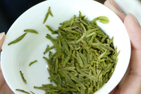 君山银针是绿茶吗 君山银针是啥茶