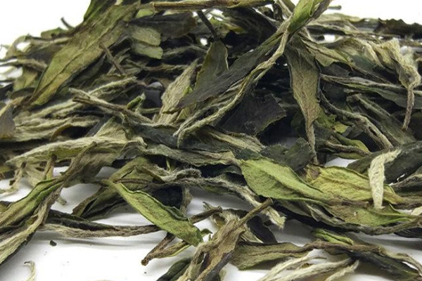 白牡丹茶属于什么茶类 茶叶白牡丹是什么茶