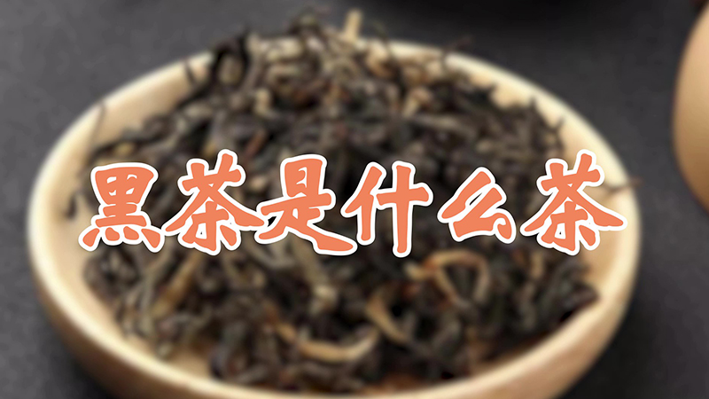 黑茶是什么茶