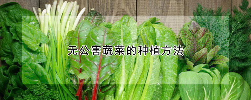 无公害蔬菜的种植方法