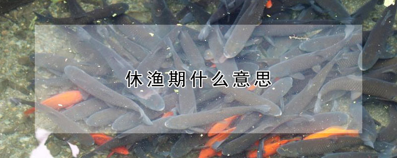 休渔期什么意思