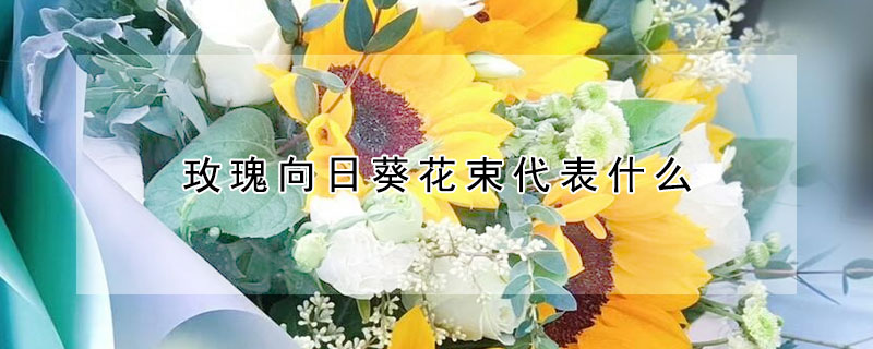 玫瑰向日葵花束代表什么