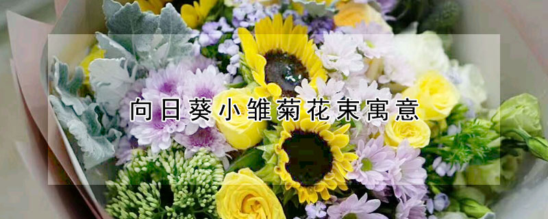 向日葵小雏菊花束寓意