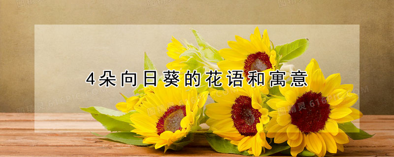 4朵向日葵的花语和寓意