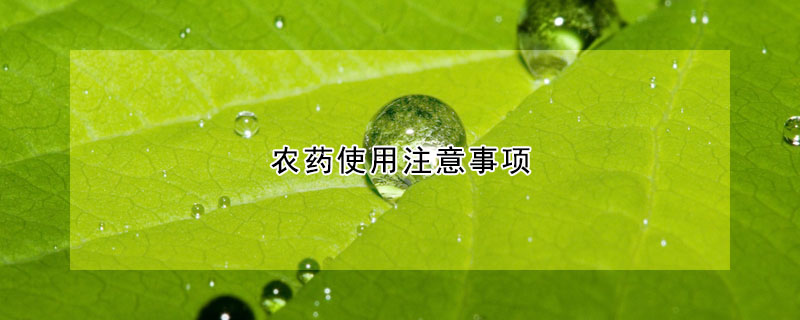 农药使用注意事项