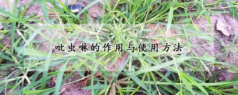 吡虫啉的作用与使用方法