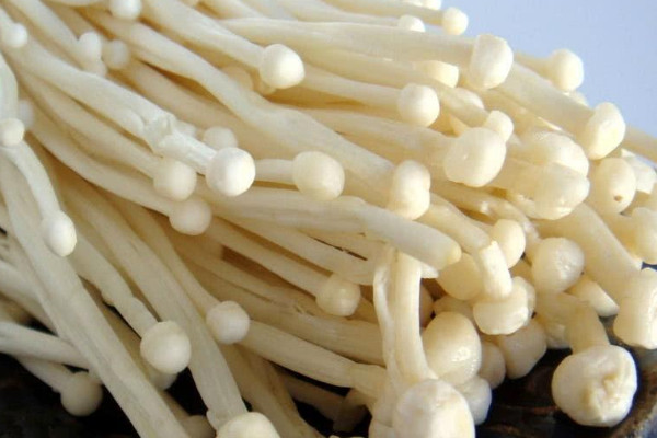 食用菌菇类十大排名 可食用菌类大全