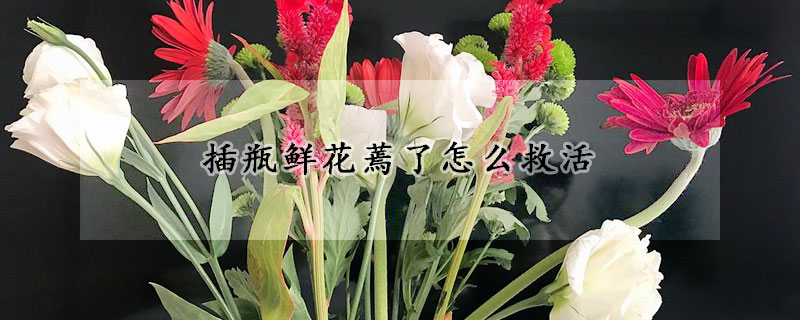 插瓶鲜花蔫了怎么救活