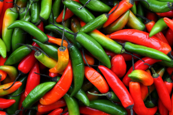世界上最辣的辣椒是什么辣椒 世界最辣的辣椒