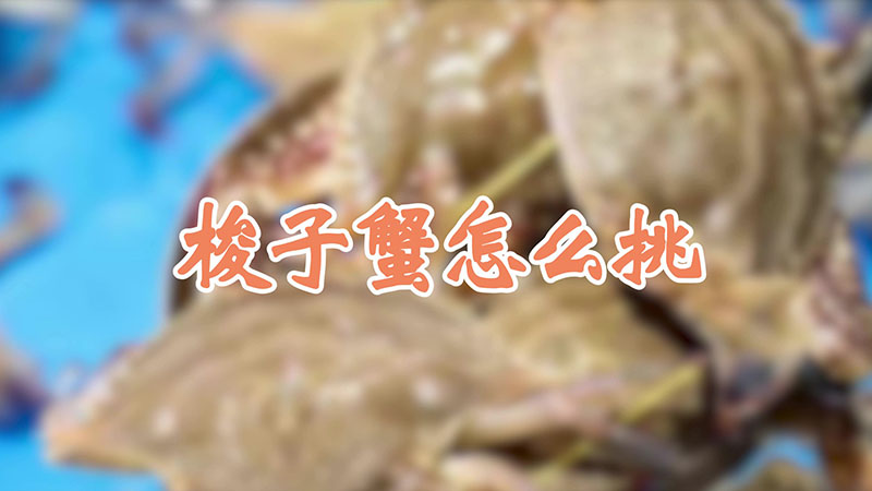 梭子蟹怎么挑