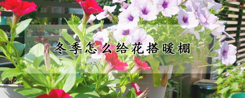 冬季怎么给花搭暖棚