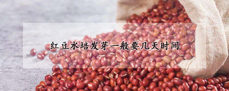 红豆水培发芽一般要几天时间