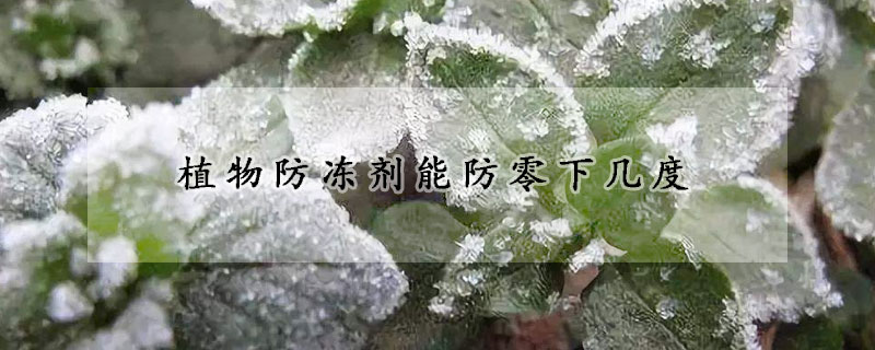 植物防冻剂能防零下几度