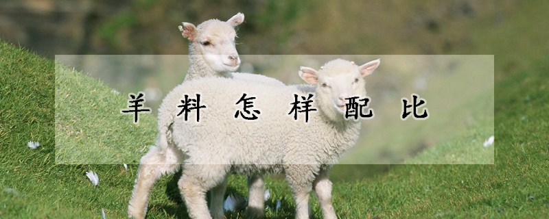 羊料怎样配比
