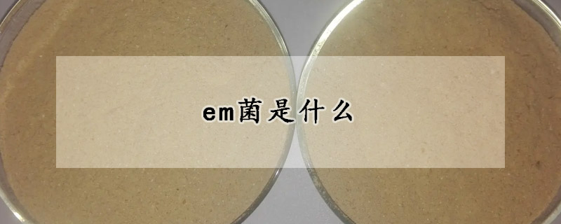 Em菌是什么 发财农业网