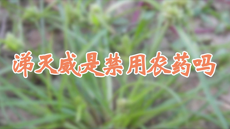 涕灭威是禁用农药吗