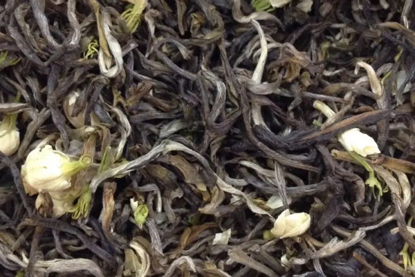 茉莉花茶的种类 茉莉花茶有哪些品种