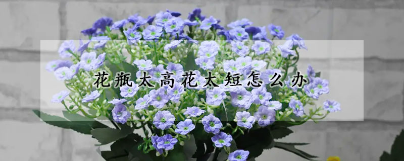 花瓶太高花太短怎么办